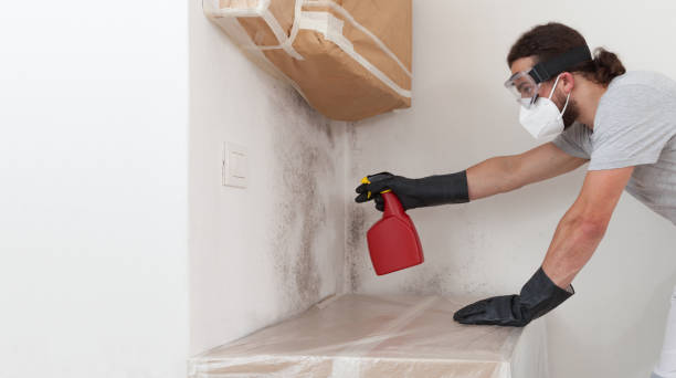 Professional Crawl Space Mold Removal technician working in Chester, NJ
