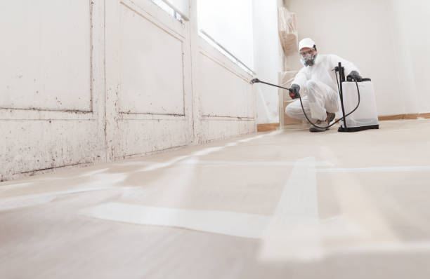 24/7 Emergency Crawl Space Mold Removal experts in Chester, NJ