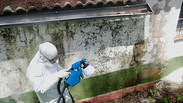 Trusted Commercial Mold Remediation service in Chester, NJ - Cheap Mold Removal